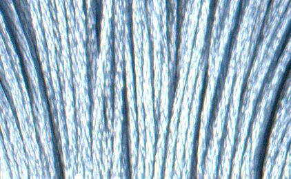 Satin DMC Floss #S800