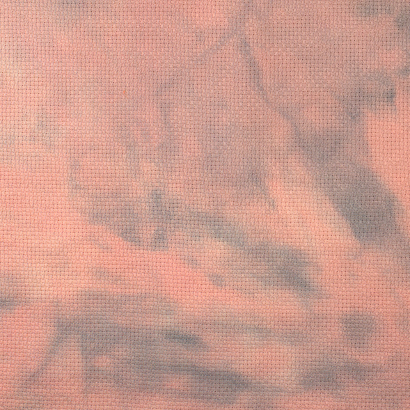 Picture This Plus 14 Count Eek! Aida Fabric 12x17 123Stitch