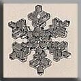 Mill Hill 12037 Medium Snowflake - Crystal