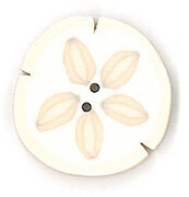 Small Sand Dollar - Button
