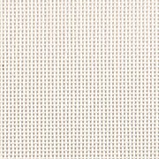 13 Count White Deluxe Mono Canvas 20x36