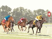 Finishing Post - Cross Stitch Pattern