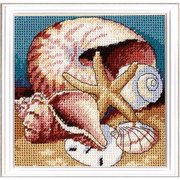Shell Collage - Needlepoint Kit