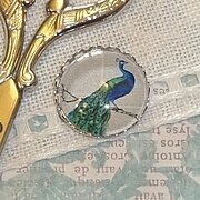 Peacock Needle Minder