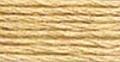 Anchor Six Strand Floss #372