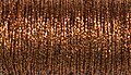 Copper Hi Lustre (021HL) #8 Braid