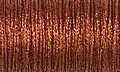 Vintage Sienna (152V) #8 Braid
