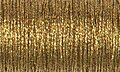 Aztec Gold Hi Lustre (202HL) #8 Braid