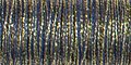 Golden Blackberry (5800) #8 Braid