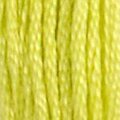 DMC 12 Six Strand Floss - Tender Green