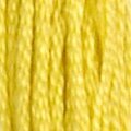DMC 18 Six Strand Floss - Yellow Plum