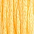 DMC 19 Six Strand Floss - Medium Light Autumn Gold