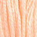 DMC 20 Six Strand Floss - Shrimp