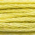 DMC 165 Six Strand Floss
