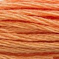 DMC 402 Six Strand Floss