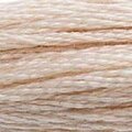 DMC 543 Six Strand Floss