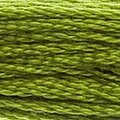 DMC 581 Six Strand Floss