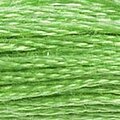 DMC 703 Six Strand Floss