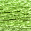 DMC 704 Six Strand Floss