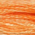 DMC 722 Six Strand Floss