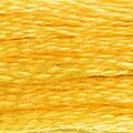 DMC 725 Six Strand Floss