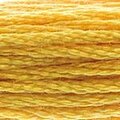 DMC 728 Six Strand Floss