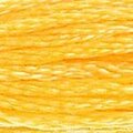 DMC 743 Six Strand Floss