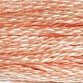DMC 754 Six Strand Floss