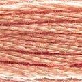 DMC 758 Six Strand Floss