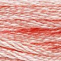 DMC 761 Six Strand Floss