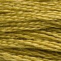 DMC 833 Six Strand Floss