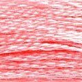 DMC 894 Six Strand Floss