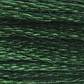 DMC 895 Six Strand Floss