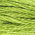 DMC 907 Six Strand Floss