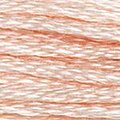 DMC 948 Six Strand Floss