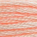 DMC 967 Six Strand Floss