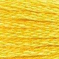 DMC 973 Six Strand Floss