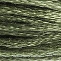 DMC 3052 Six Strand Floss