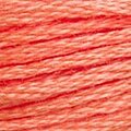DMC 3340 Six Strand Floss