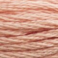 DMC 3771 Six Strand Floss