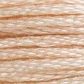 DMC 3774 Six Strand Floss
