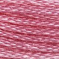 DMC 3806 Six Strand Floss