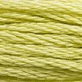 DMC 3819 Six Strand Floss