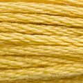 DMC 3821 Six Strand Floss