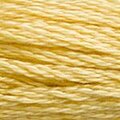 DMC 3822 Six Strand Floss