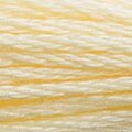 DMC 3823 Six Strand Floss