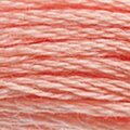 DMC 3824 Six Strand Floss
