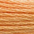 DMC 3854 Six Strand Floss