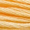 DMC 3855 Six Strand Floss