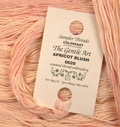 Sampler Threads - Apricot Blush